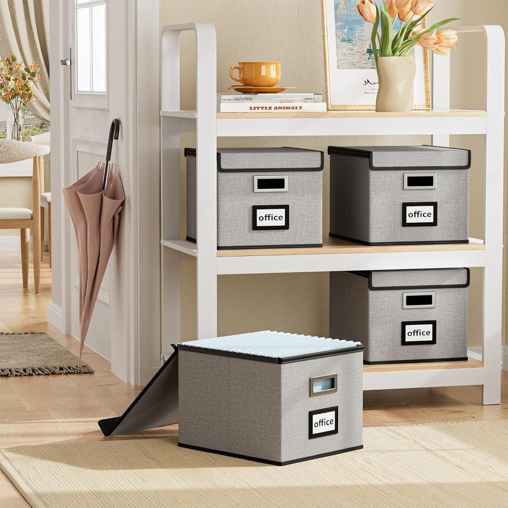 Collapsible File Organizer Box - File Folder Hanging review and price